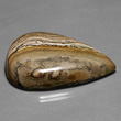 Banded Pattern Jasper