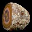 Polished Agate Nodule