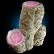 Rhodochrosite Stalactitic Growth