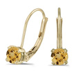 Citrine Gold Leverback Earrrings