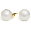 White Freshwater Pearl Earrings