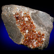 Orange Sphalerite on Matrix