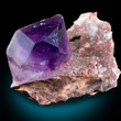 Single Amethyst Crystal on Matrix