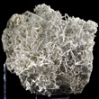 Aragonite Var. Flos Ferri