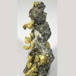 Arsenopyrite with Gold