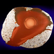 Bruneau Jasper