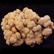 Brain-like growth of Calcite