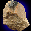 Partial Columbite Crystal in Albite