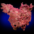 Cuprite on Native Copper