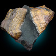 Banded Yellow Goethite