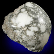 Polished Howlite Nodule