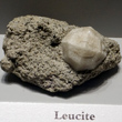 Perfect Leucite Crystal on Matrix