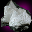 White Pectolite Mass