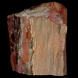 Petrified Wood Chunk