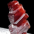 Red Uvite